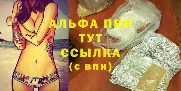 гашик Мегион