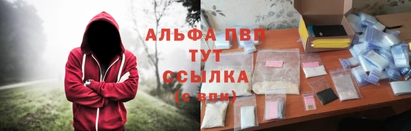 гашик Мегион
