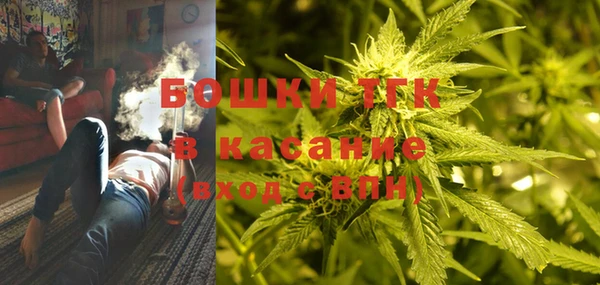 гашик Мегион