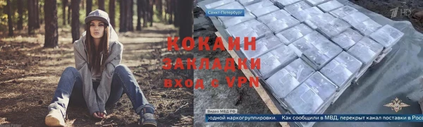 гашик Мегион