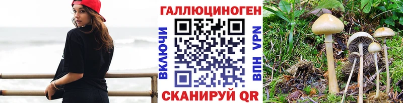 Псилоцибиновые грибы Psilocybe  Камешково 